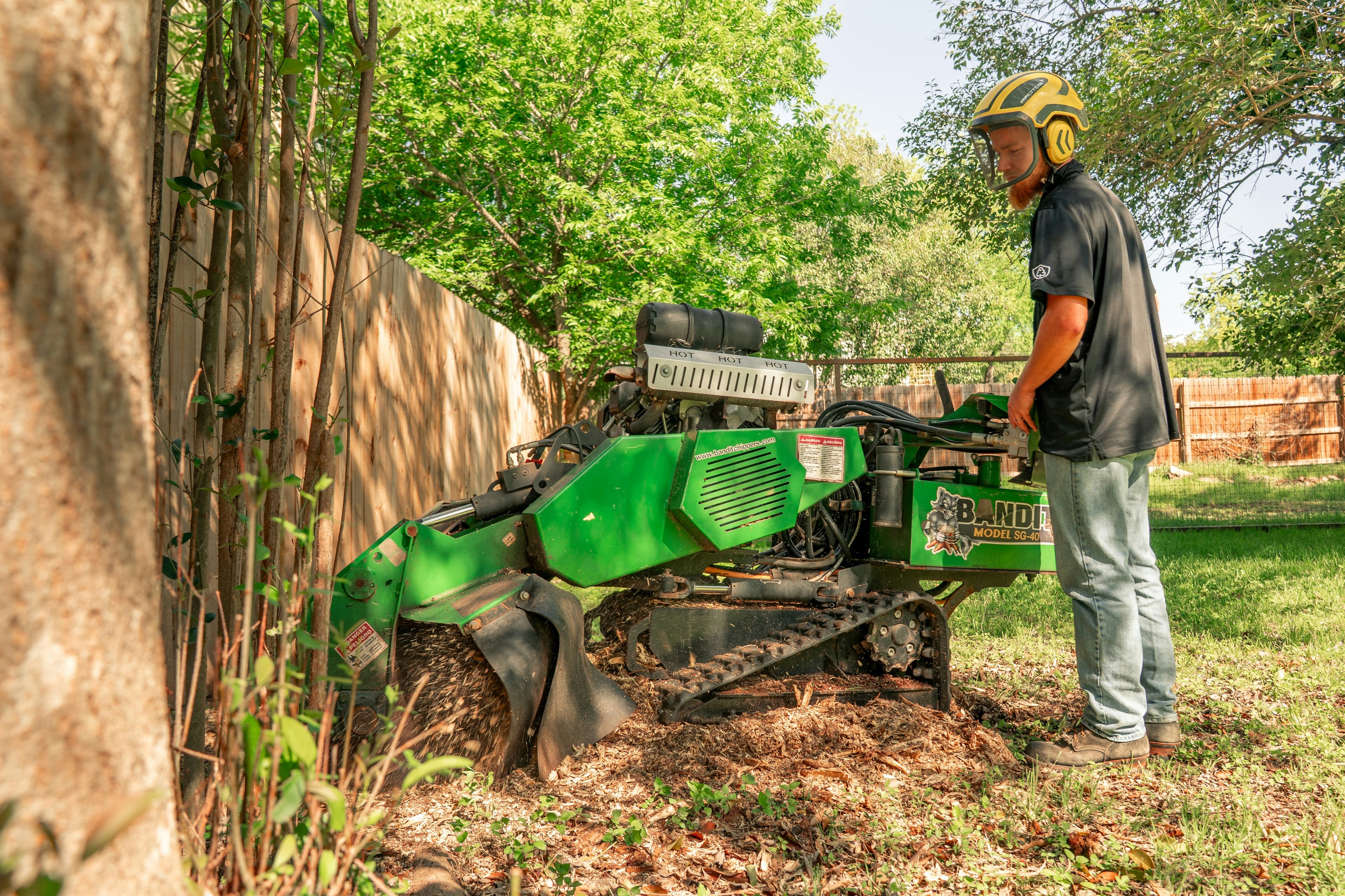 Geko Tree Service 5